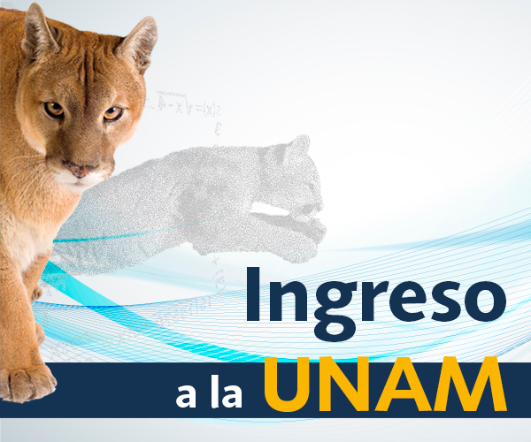 Curso UNAM